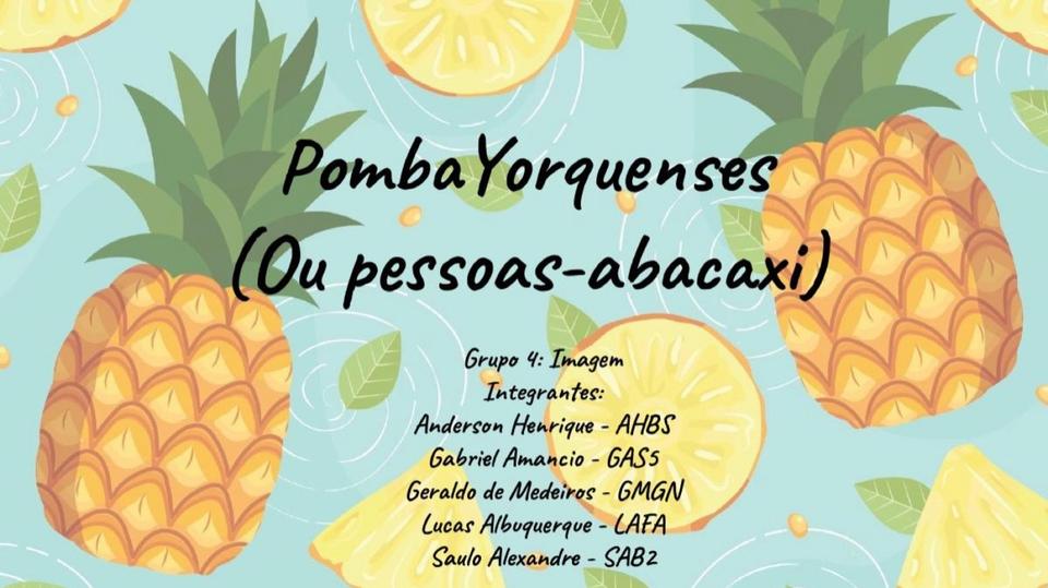 PombaYorquenses, pessoas-abacaxi com StyleGAN2-ADA (2020.2)