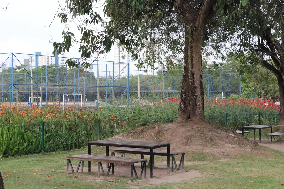 Jardins Filtrantes do Parque do Caiara, Iputinga, 2023 (foto: site da ARIES)